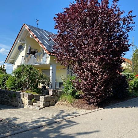 Ferienwohnung Messmer Mit Terrasse Heiligenborn Zewnętrze zdjęcie